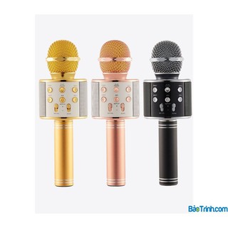 MÍC HÁT KARAOKE WS-858  Aloạn