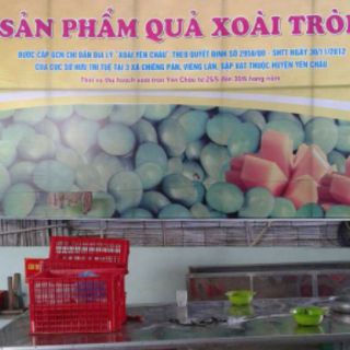 Xoài chuẩn Yên Châu!
