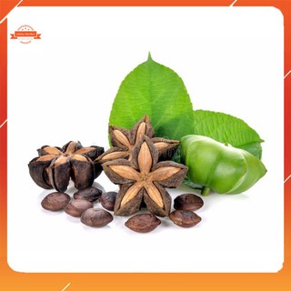 500gr Hạt Sachi Organic ĐăkLăk sấy chín (Hạt Sa chi)