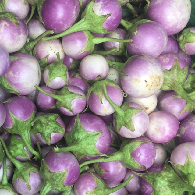 Hạt giống cà pháo trắng, cà pháo tím (Nãy mầm 90%)