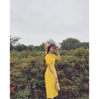 Váy cổ V tay bồng