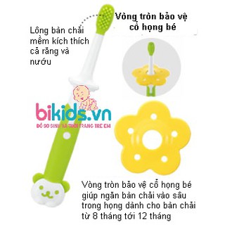 Bàn chải bước 2 (8m) Richell