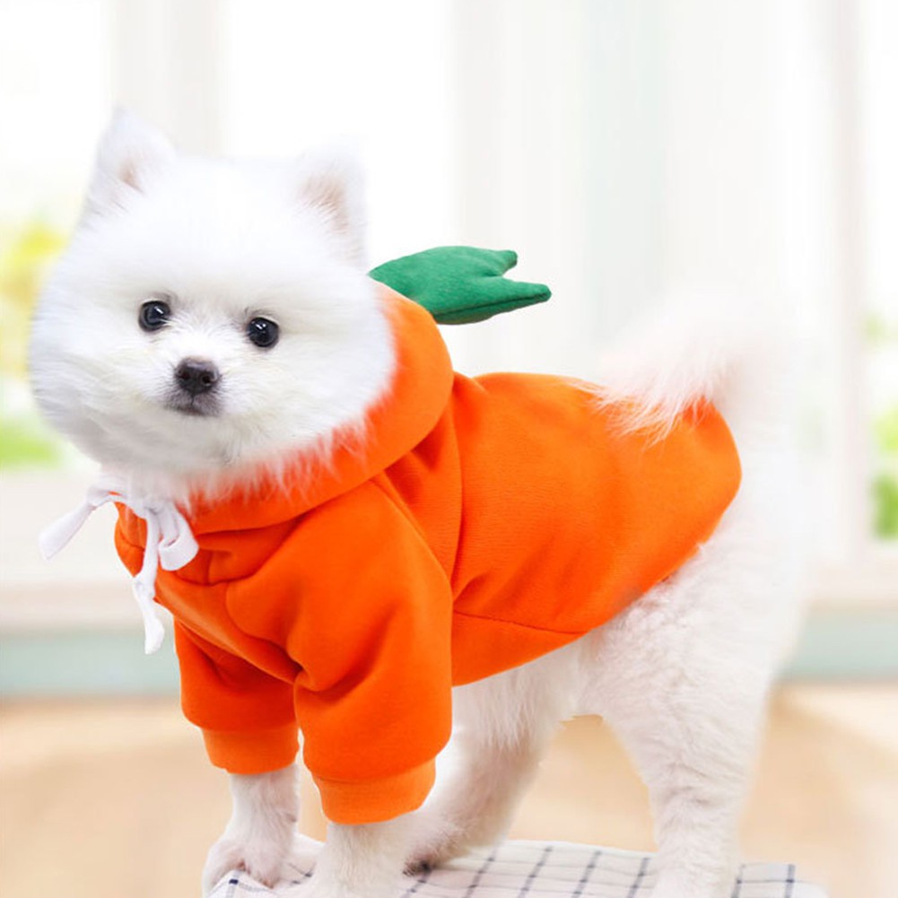 ★〓Myles Pet〓★ Áo hoodie bằng vải lông cừu hình trái cây dễ thương cho thú cưng