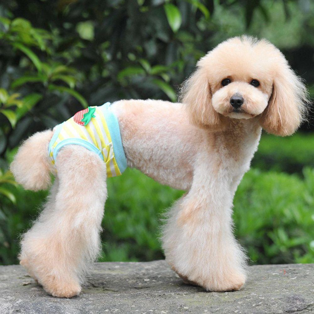 Danilo Quần Short Nhiều Màu Dễ Thương Thoải Mái Cho Thú Cưng