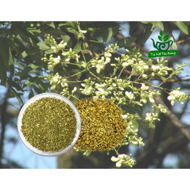 Trà hoa hoè 500g