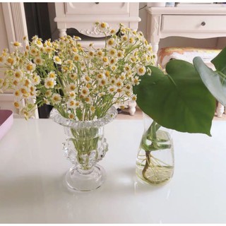 LY PHẬT THỦ - CẮM HOA THỦY TINH PHA LÊ