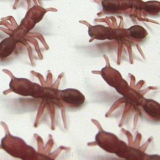 100pcs/set Living Room Ornament Makeup Durable Halloween Party Home Simulation Ants