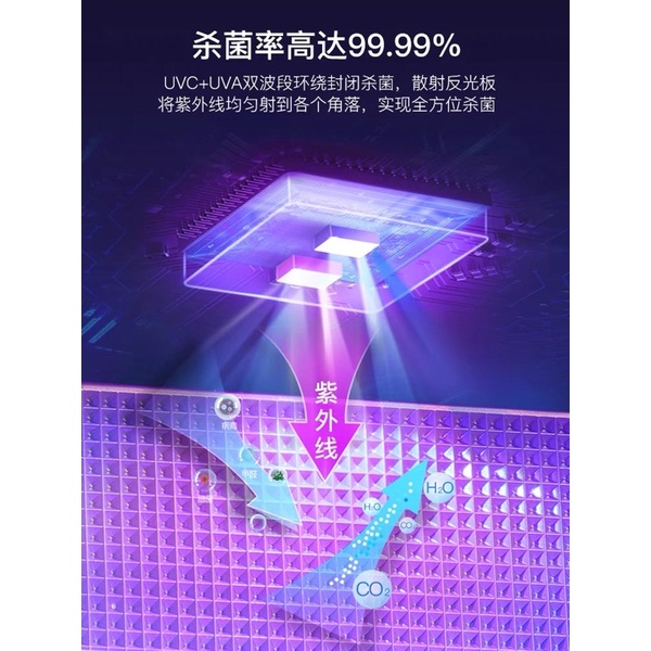 Kệ Cắm Bàn Chải Khử Khuẩn Tia UV ECOCO Công Nghệ Cao, Kệ Treo Tường Cắm Bàn Chải Nhà Tắm