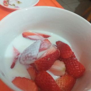 NẤM KEFIR SỮA CHUA HY LẠP (NẤM TUYẾT)
