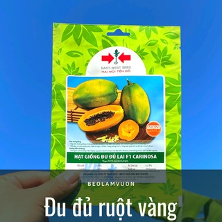 Hạt giống đu đủ ruột vàng hai mũi tên đỏ, trái 1,5 - 2kg thịt dày, thơm ngọt, hạt nảy mầm tốt, dễ trồng
