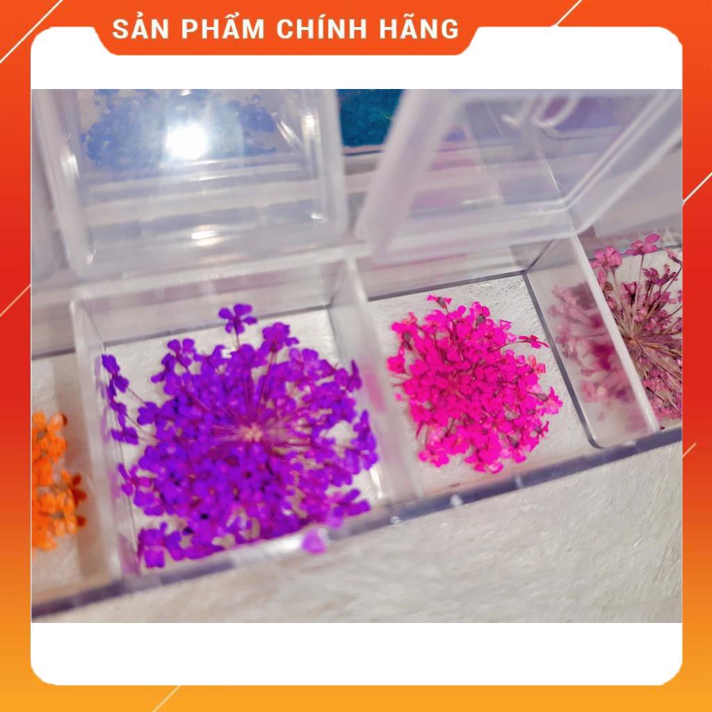 Set Hoa Khô Chùm Trang Trí Nail 12 Màu - Set Hoa Khô Chùm Trang Trí