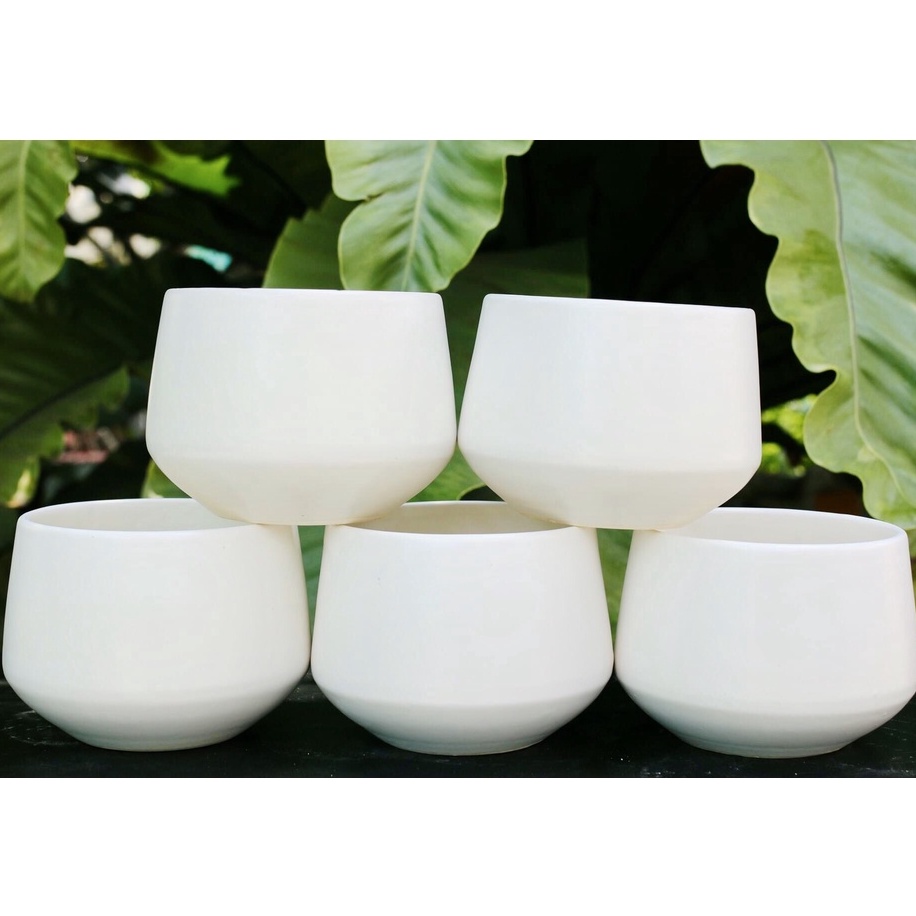 Chậu Kim Cương 10x12cm Trồng Cây Để Bàn, Cây Phong Thủy