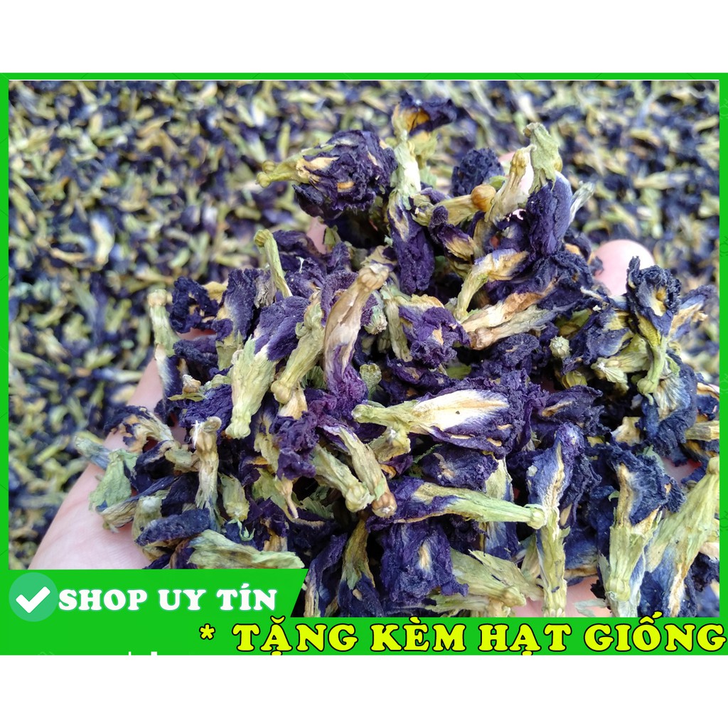 Trà hoa đậu biếc sấy khô 50g ( Tặng kèm hạt giống)