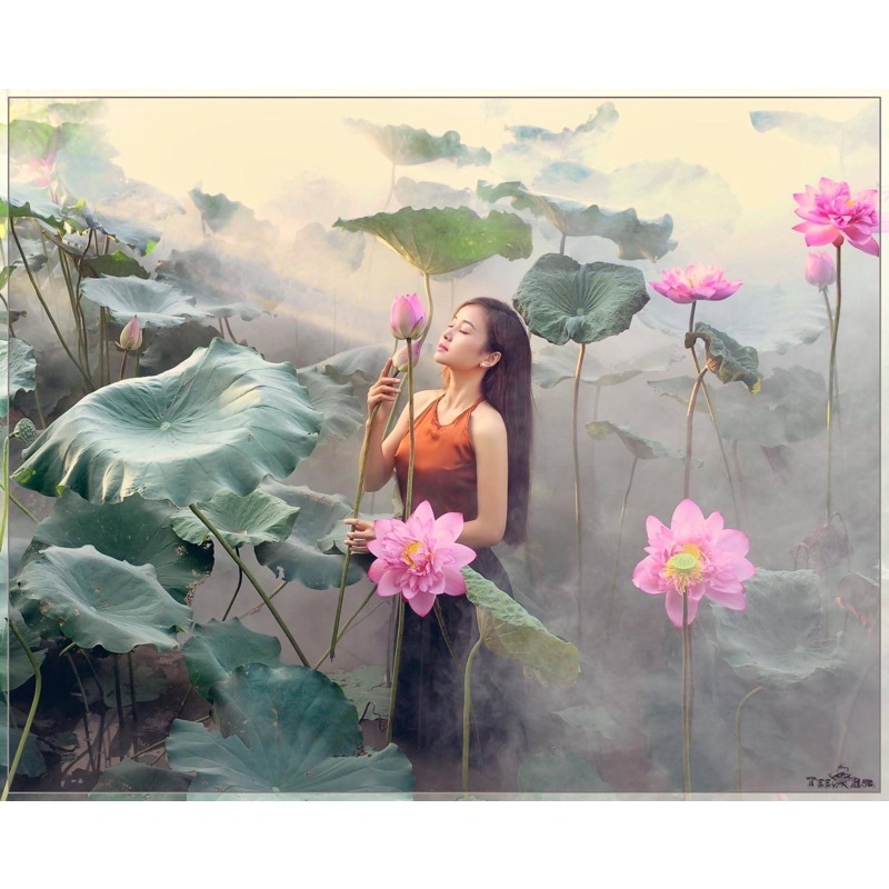 Dung môi tạo khói nguyên chất cho lượng khói dày đặc như đám mây