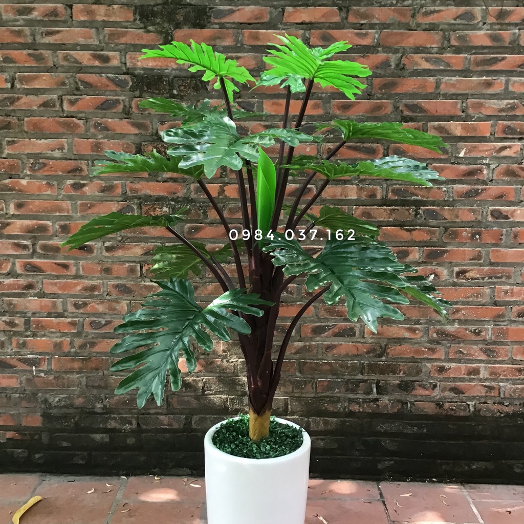Cây Giả - Cây Giả Đẹp Decor Văn Phòng Độc Đáo