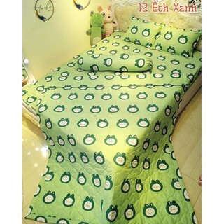 Chăn hè COTTON POLY trần bông 3 lớp