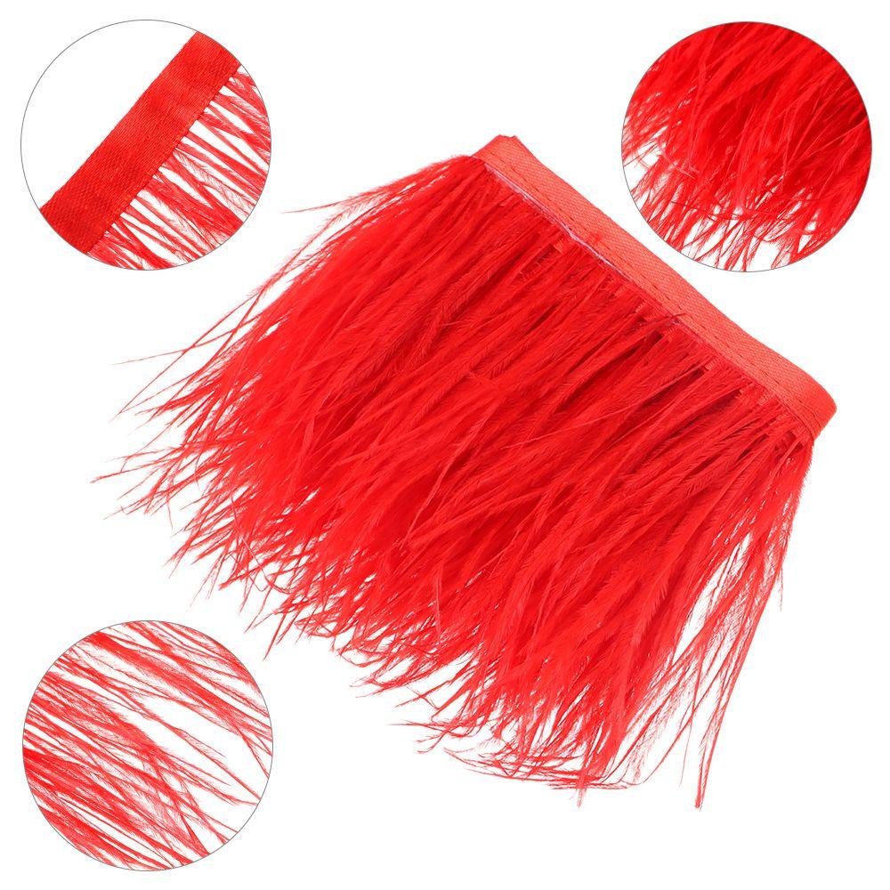 Dây Ruy Băng Dài 1M Rộng 8-10Cm Đính Lông Đà Điểu Thời Trang Cho Nữ