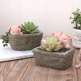 Cute Creative Chinese Style Fun Garden Pig Pots Home Garden Succulent Potted Desktop Plants Bonsai