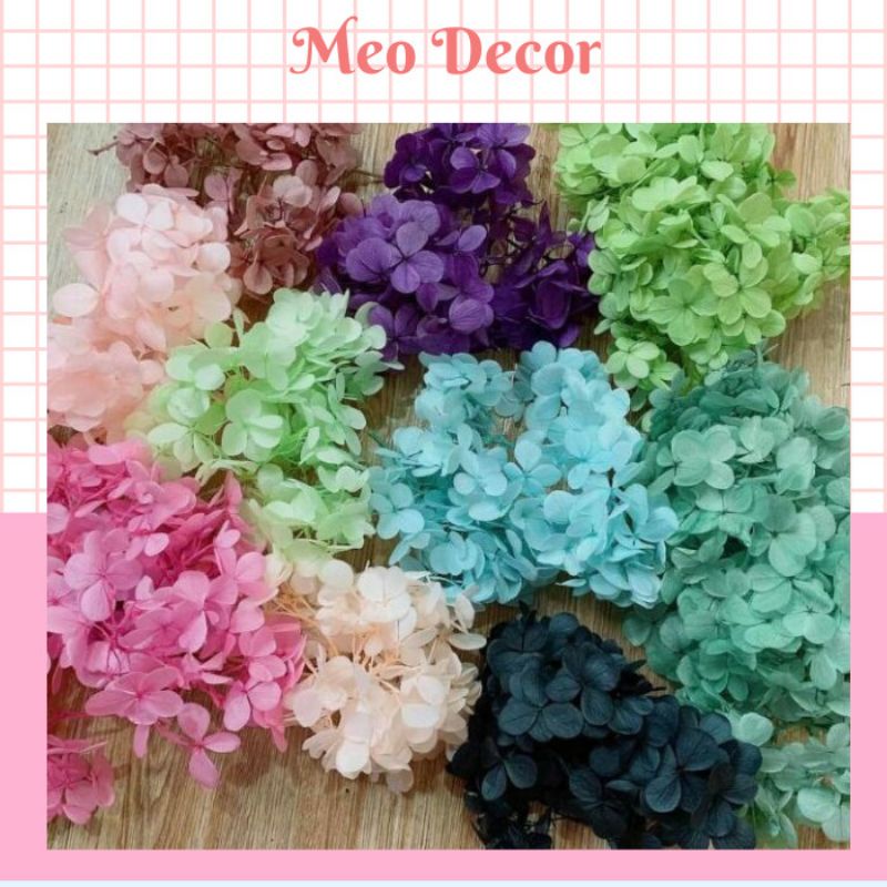 Hoa khô cẩm tú cầu trang trí resin, nail hoặc makeup..handmade( set gói như hình ở phân loại hàng)