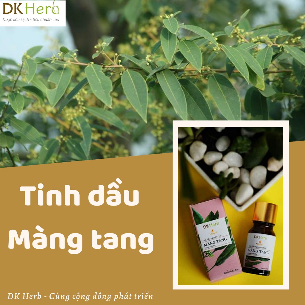Tinh dầu Màng tang núi cao Việt Nam nguyên chất DK Herb 10ml - Kiểm nghiệm GCMS