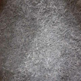 Hạt sao nhái   mix màu