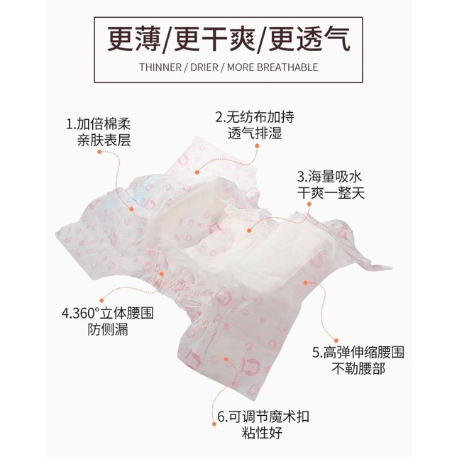 Tả cho cún đực hút thấm tốt cho bé thoải mái cả ngày