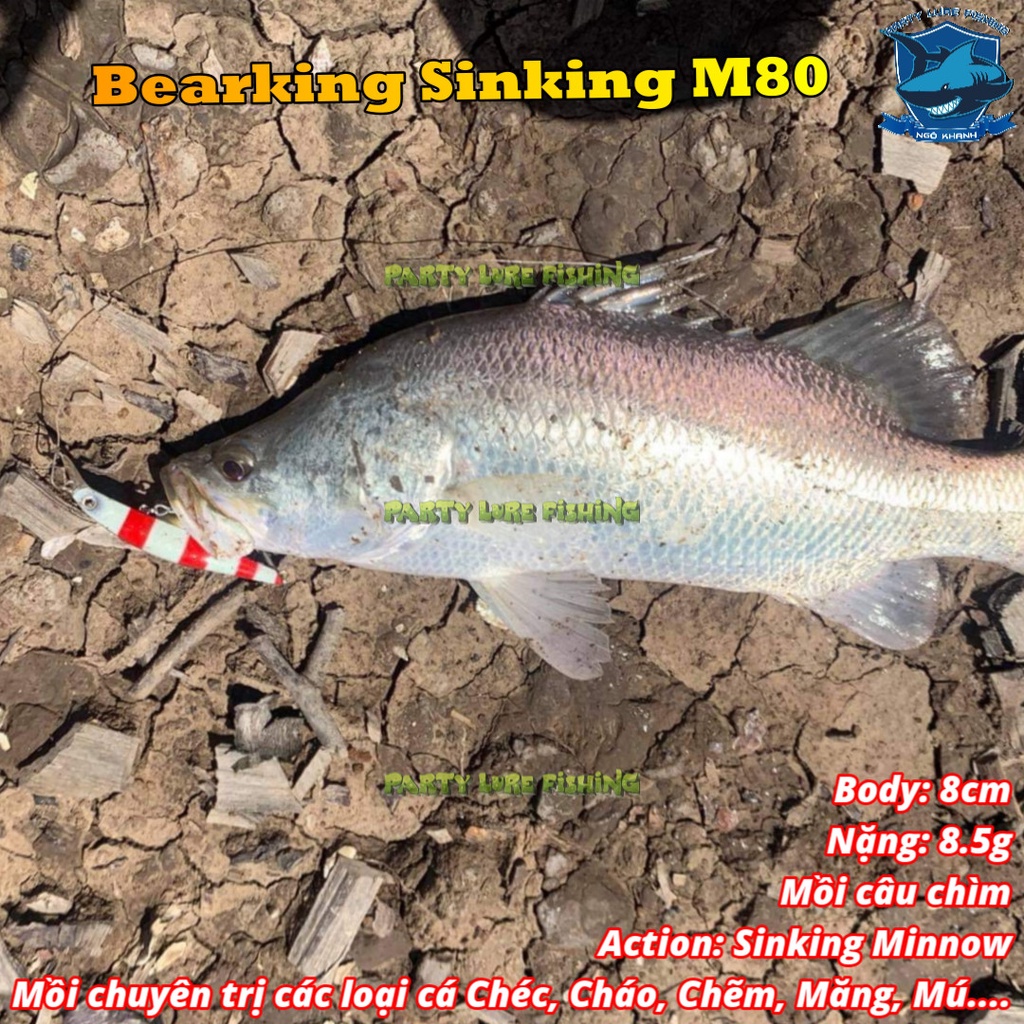 Mồi câu cá Bearking Sinking M80, mồi lure cá chẽm, chéc, măng, mú, cháo, nhồng...