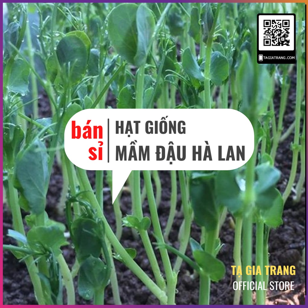 [Bán sỉ] - Hạt giống rau mầm đậu Hà Lan - Gói 50gr