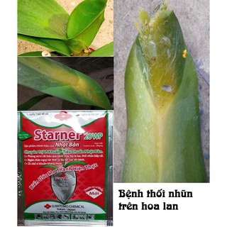 Thuốc đặc trị vi khuẩn Starner 20WP 10gr nhập khẩu-  chuyên dụng.