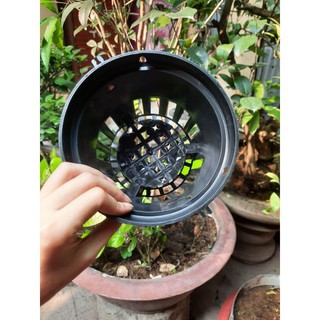 {GIÁ TẬN GỐC} Chậu nhựa đen trồng lan đường kính miệng 16cm (TỪ 50C ib) hàng bền đẹp chất lượng cao.