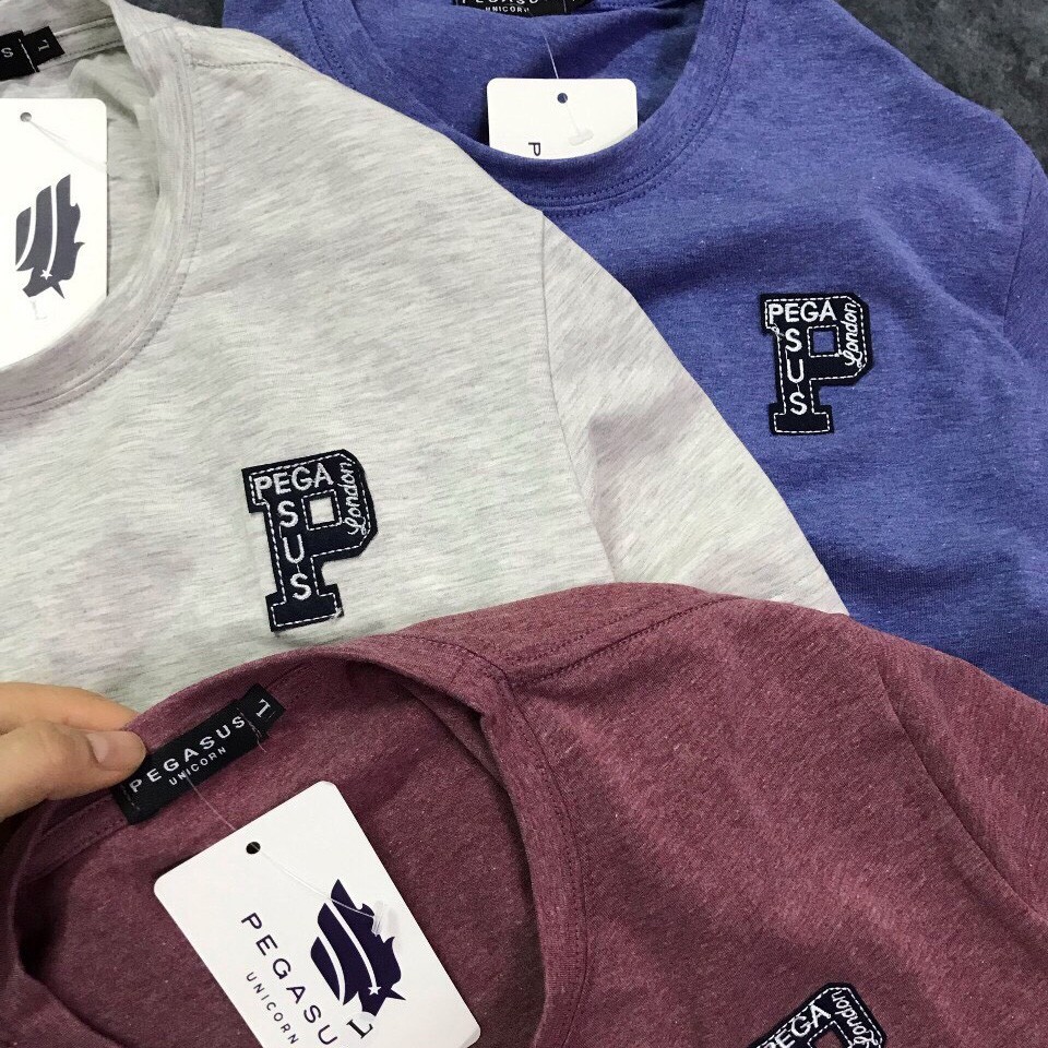 Áo thun nam cổ tròn PEGASUS cao cấp KENSTORE89 ATP062 | BigBuy360 - bigbuy360.vn