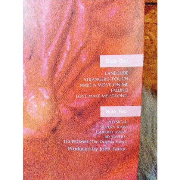 Đĩa than vinyl nhạc Pop