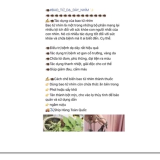 Dạ dày nhím rừng tây bắc