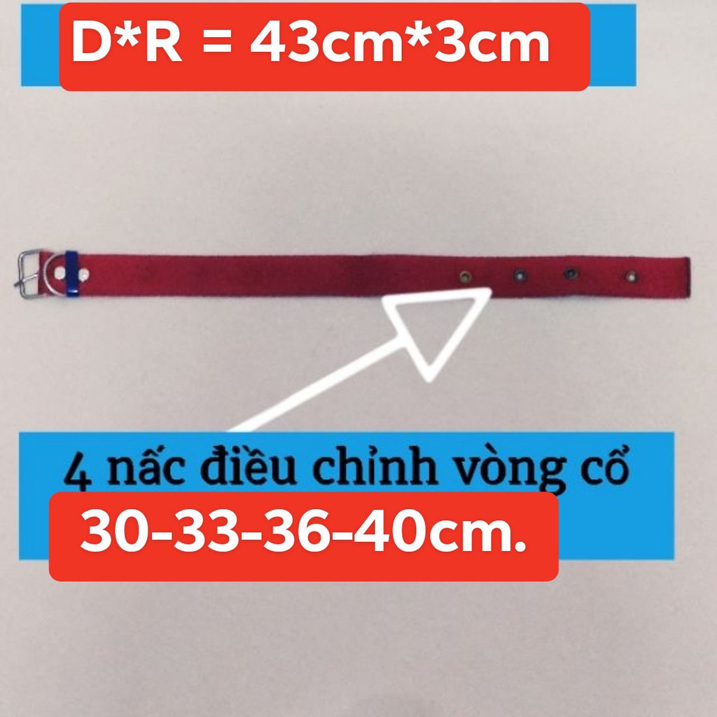 Vòng cổ chó - dây đeo cổ bằng vải dù 3 SIZE / Bền &amp; thoải mái cho thú cưng