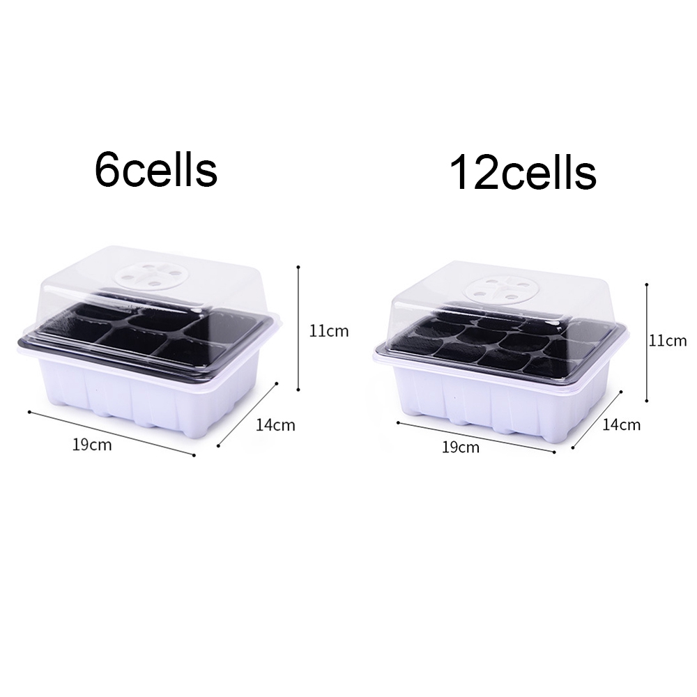 Khay Nhựa Trồng Cây 6 / 12 Ngăn Tiện Lợi