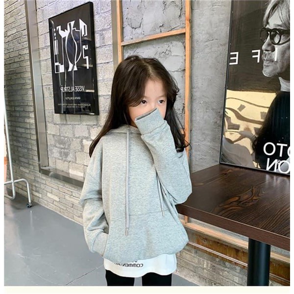 Áo nỉ hoodie cho bé 2610NH