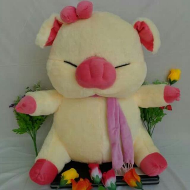 Heo mắt hí siêu cute 60cm freeship