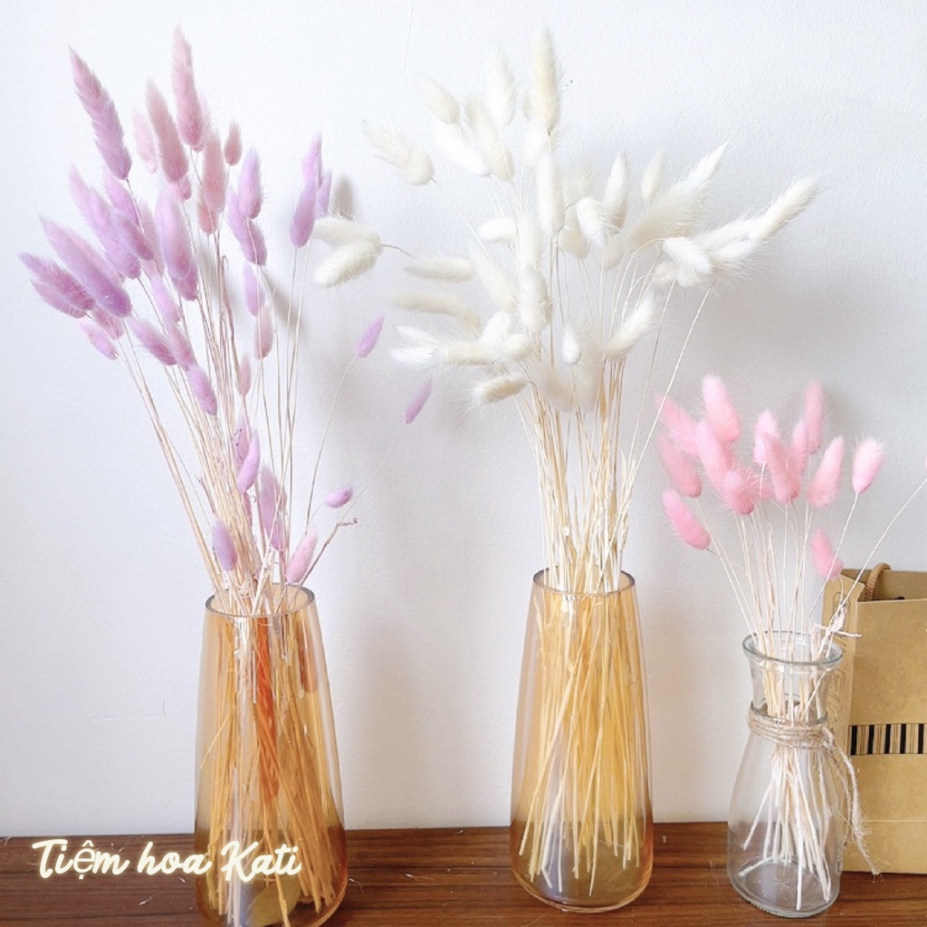 Hoa khô đuôi thỏ Hoa khô trang trí Vintage