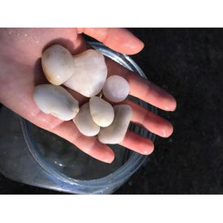 đá cuội trắng trang trí bể cá,trang trí cây cảnh