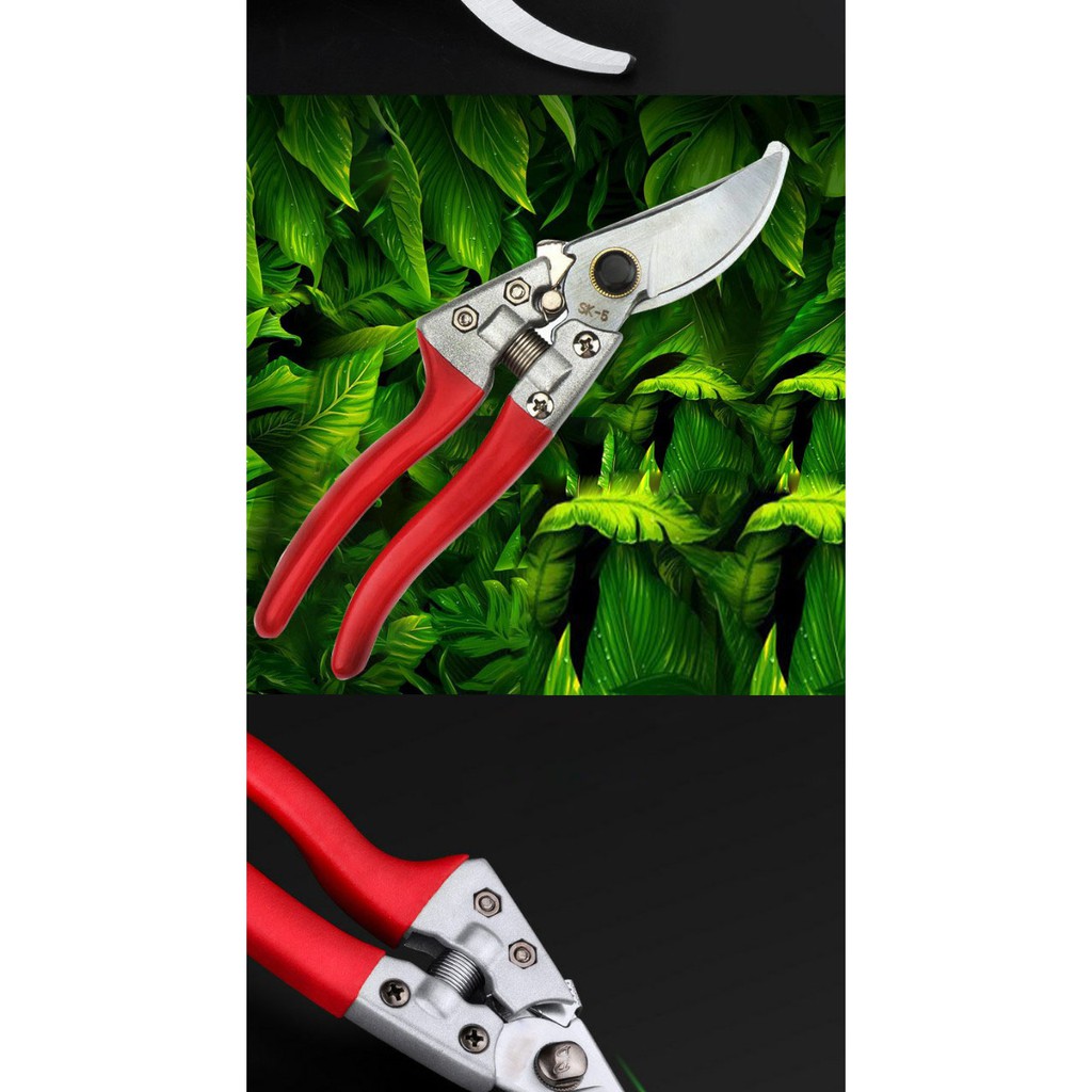 Kéo Cắt Tỉa Cây Cảnh, Bonsai, Làm vườn SK-5V8 lưỡi sắc bén, giá rẽ DEVELOPE