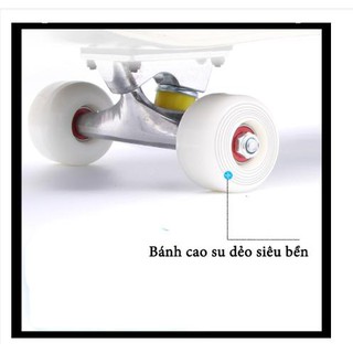 Ván trượt Skateboard cao cấp mặt nhám
