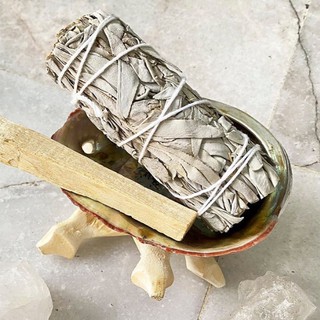 Xô Thơm Trắng (White Sage) Làm Sạch Không Gian Cơ Bản l XÔ THƠM THANH TẨY