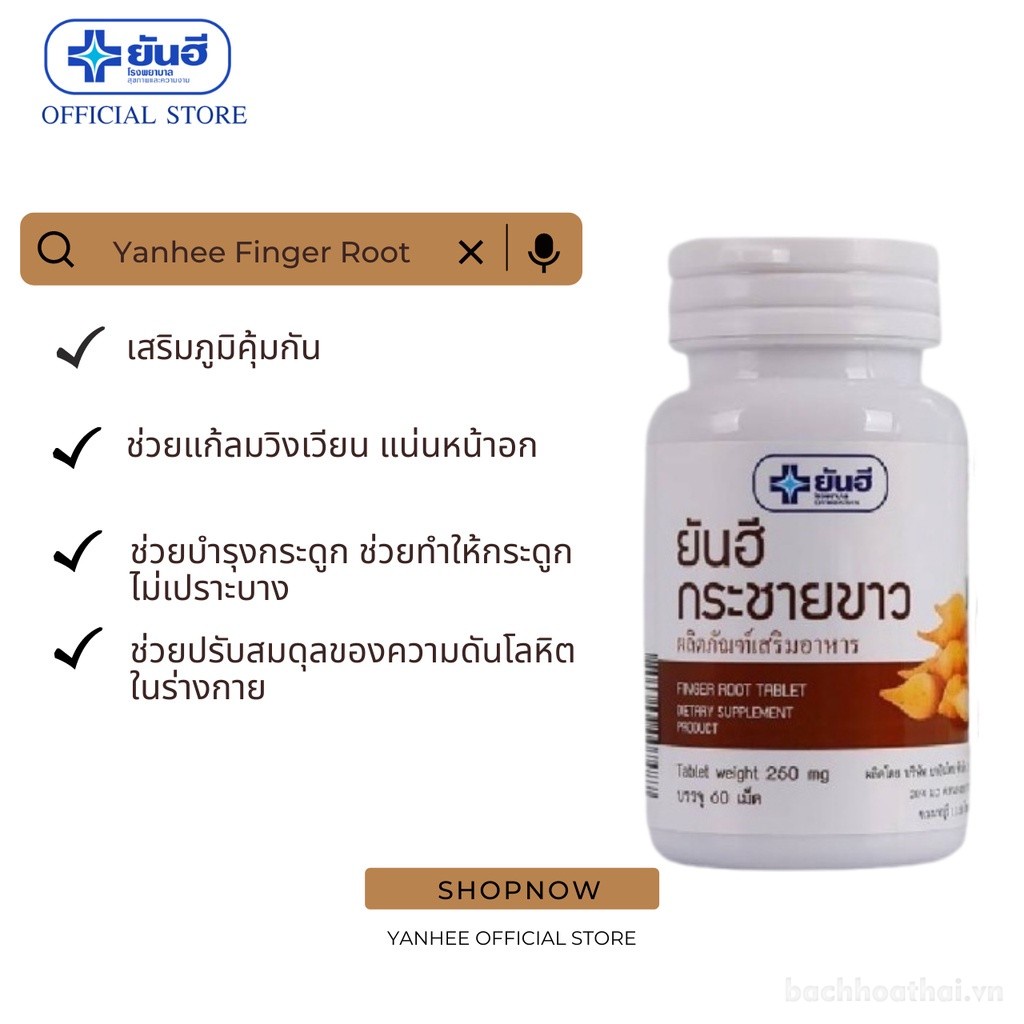 Ngải bún Yaņhee Finger Root Table Thái Lan