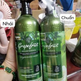 Cặp gội xả bưởi