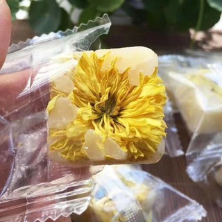 🌼TRÀ HOA CÚC ĐƯỜNG PHÈN MẬT ONG 🍯