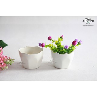 Chậu gốm nhỏ màu trắng Số 07 (nhiều kiểu) TAN