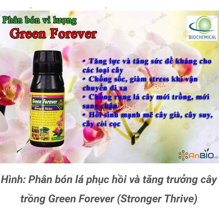 Phân bón vi lượng GREEN FOREVER - 100ml tăng đề kháng, Kích thích tăng trưởng cây