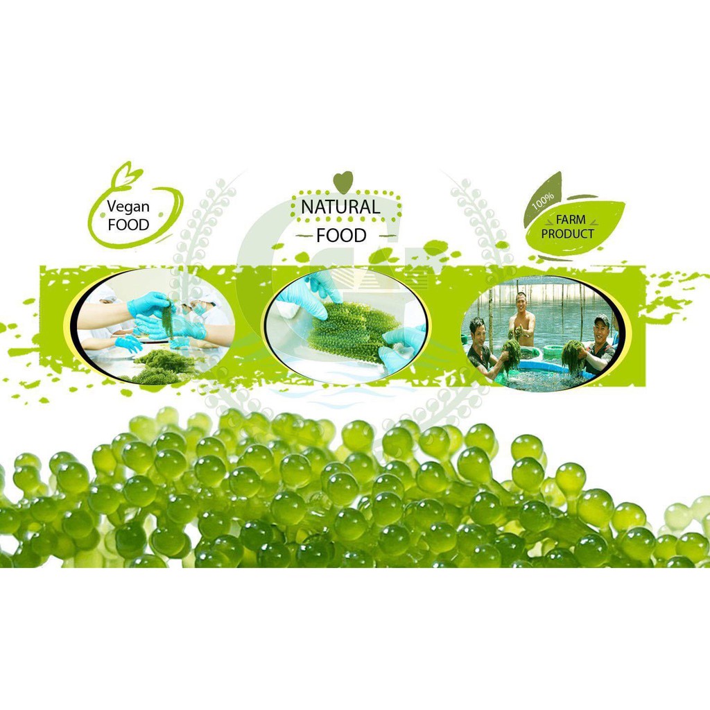 Rong nho GreenFood Nha Trang- Hàng chính hãng | BigBuy360 - bigbuy360.vn