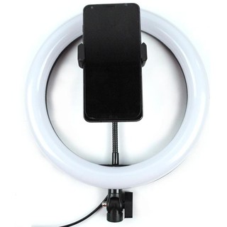 Vòng Đèn Led 12w 8 Inch Rl-21 Ánh Sáng Trắng Có Giá Đỡ Điện Thoại