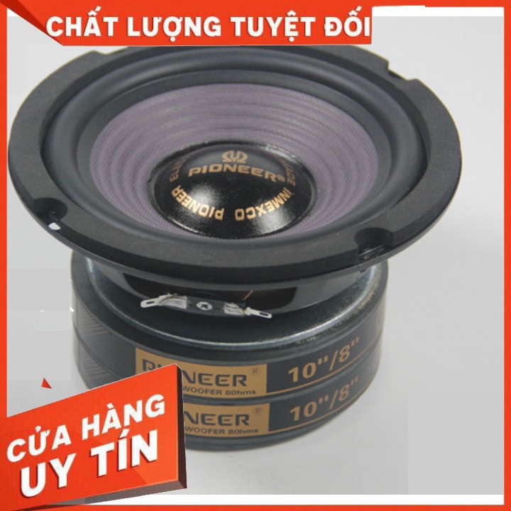 Loa bass rời Pioneer - Pion20